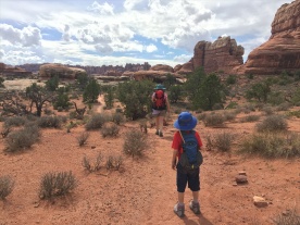 On the trails, the needles in the distance - Chesler Park Trail, Needles District, Canyonlands NP